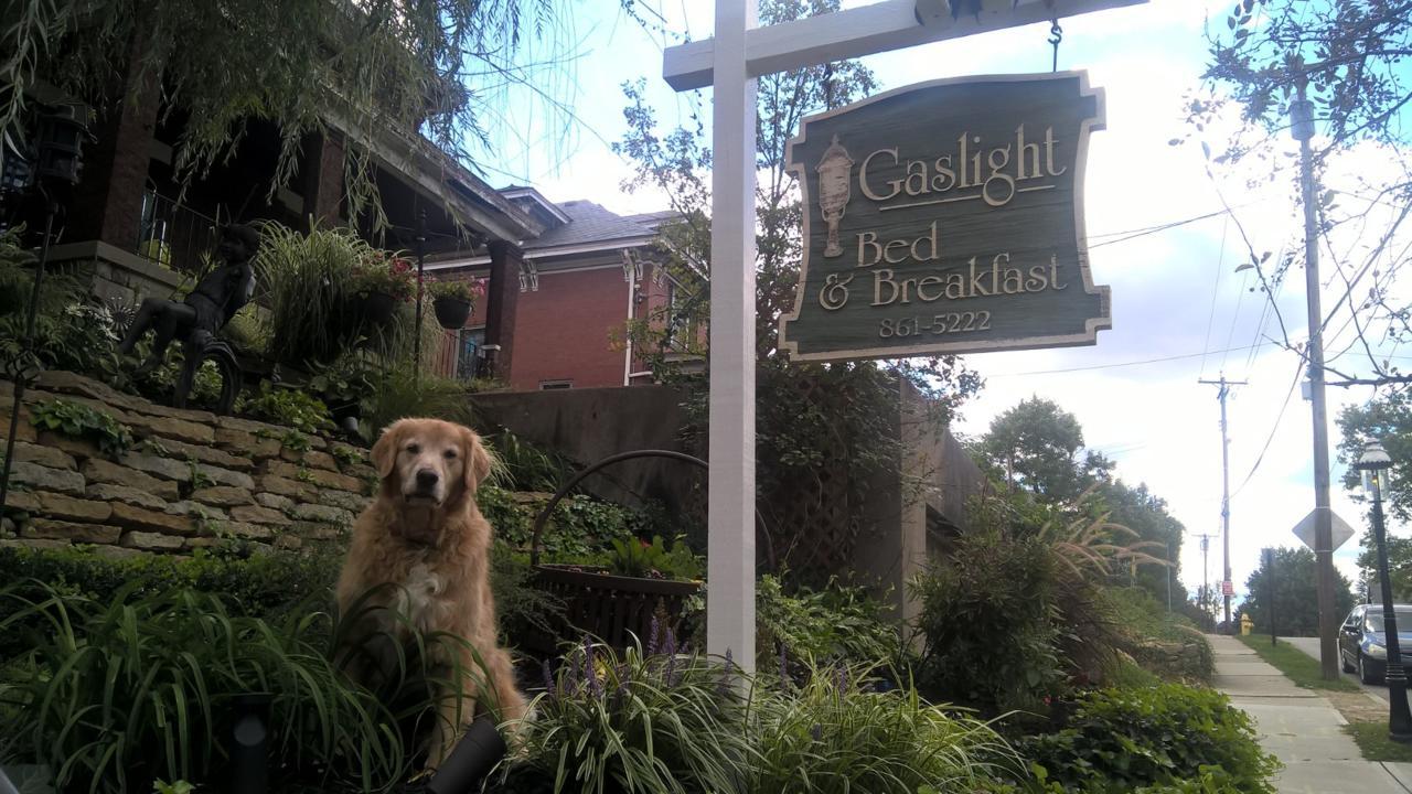 Gaslight Bed & Breakfast Cincinnati Kültér fotó
